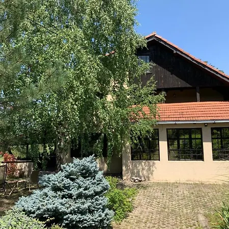 Timok Villa *