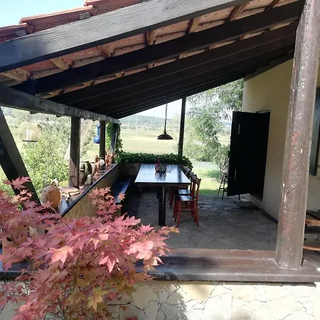 Timok Villa *