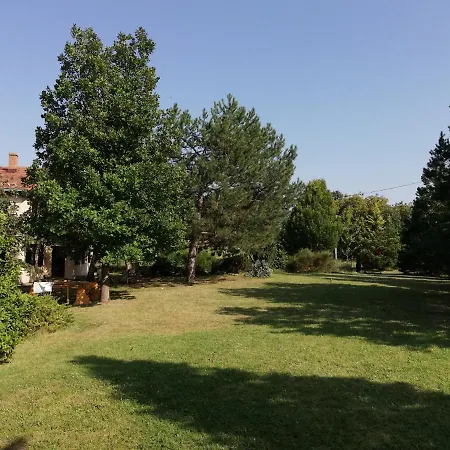 Timok Villa *