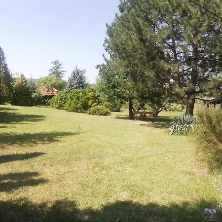 Timok * Zaječar