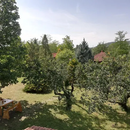 Timok * Zaječar