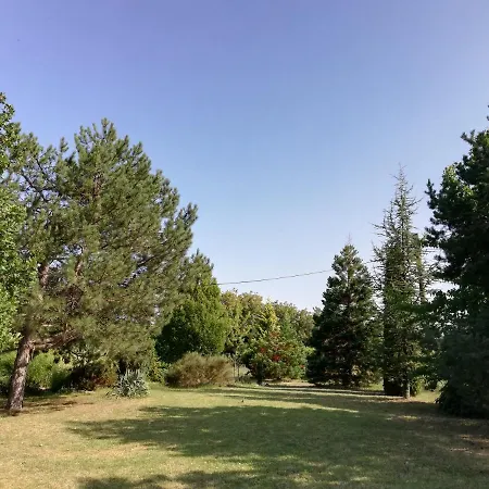 Timok Villa Zaječar