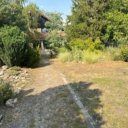 Timok * Zaječar